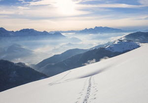 《上大学》-小说-毕琼