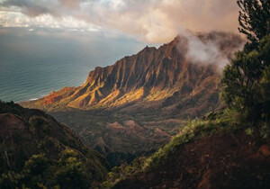 进入一个有苦吃不完的世界