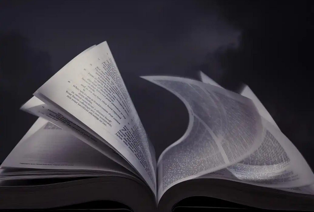 《荆生与狂人》-小说-刘敦楼