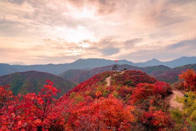 《重阳，是所有人的秋天》-散文-罗登廉