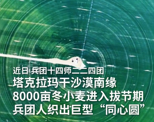 壮观!塔克拉玛干沙漠现巨型麦圈